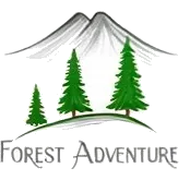 Forest Adventure